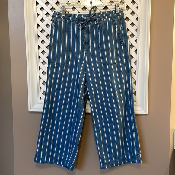 American Eagle wide leg cropped pant modest trendy style size 2 EUC - Picture 2 of 8